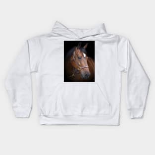 Magnificent Kids Hoodie